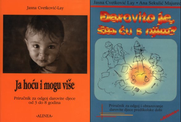 obje.jpg (41487 bytes)